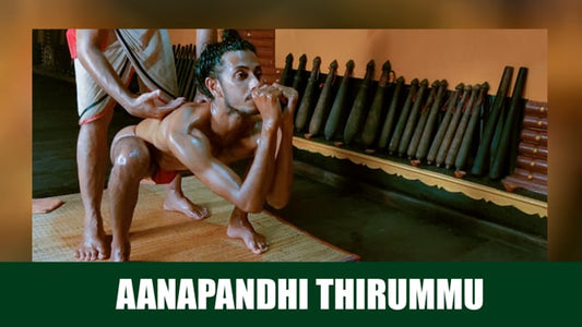 Palm massage therapy segment in Kalari marma therapy - AANAPANDHITHIRUMMU (Duration : 01:08:09)